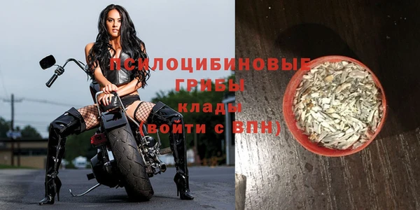 гидра Горно-Алтайск