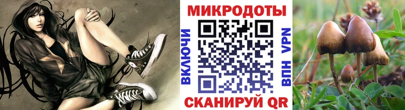Галлюциногенные грибы Cubensis  ссылка на мегу вход  Заинск 